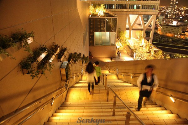 Osaka Station - Terrace