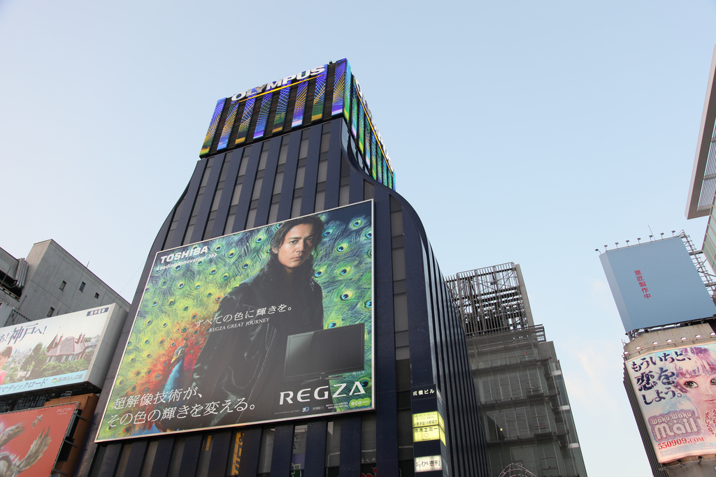 Huge Billboards in Dotonbori