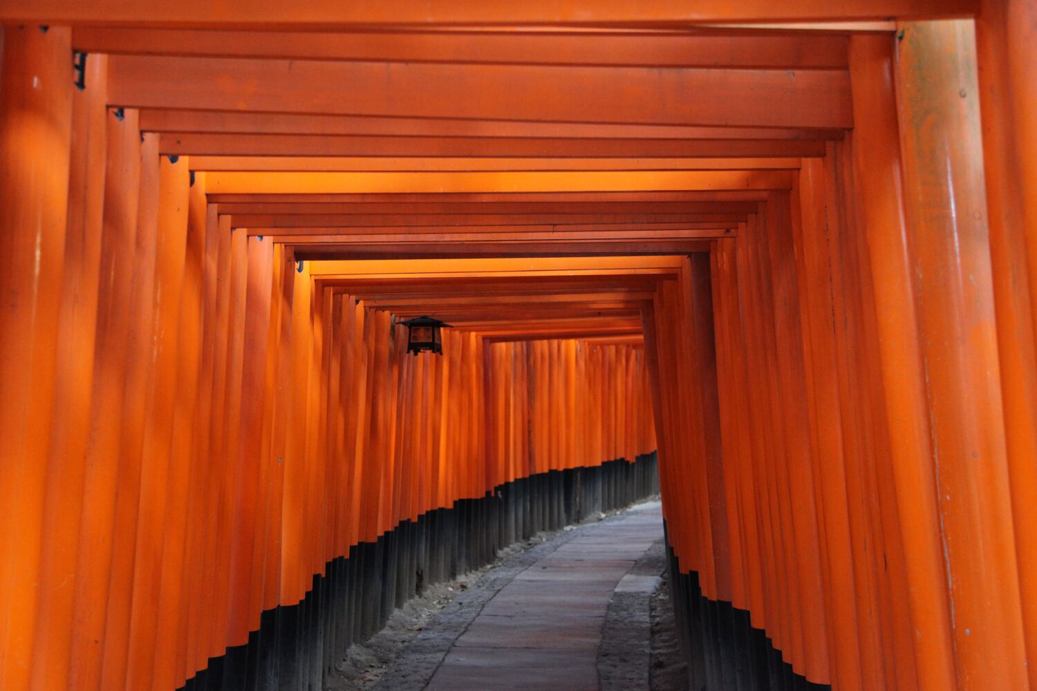 Fushimi Inari in Kyoto