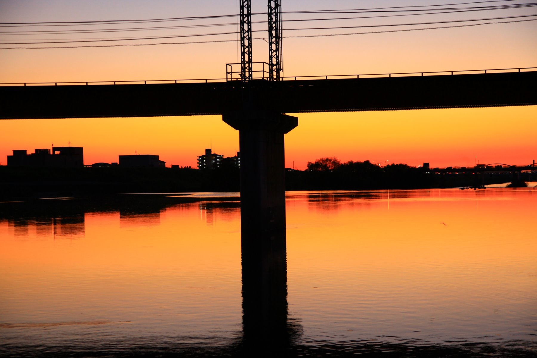 Under a  Japanese bridge