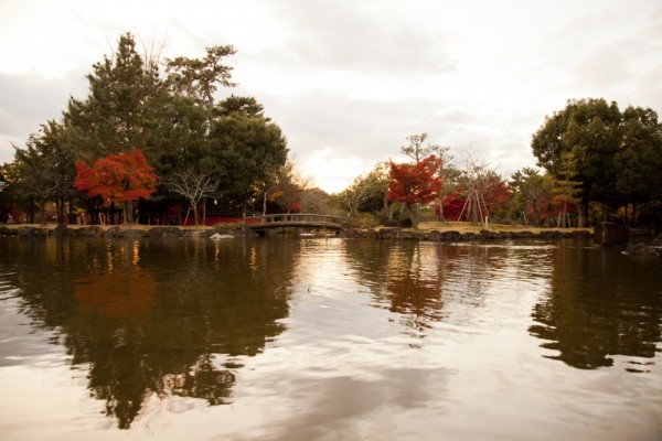 2 series Momiji in Nara